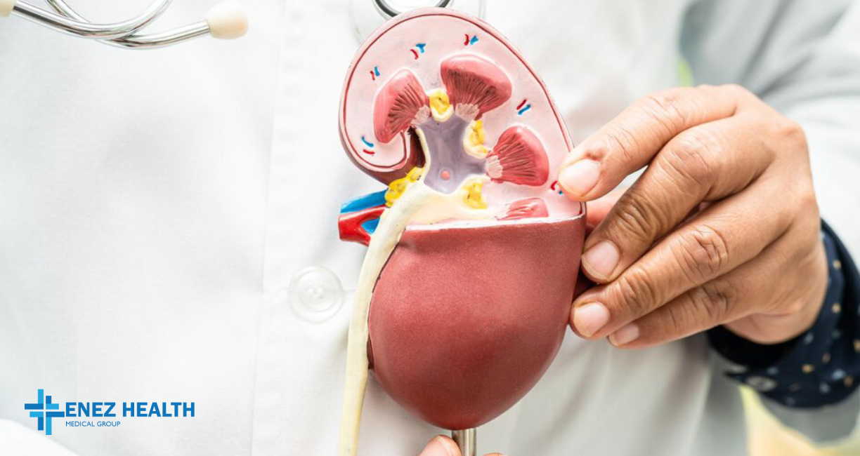 Organ Transplantation Centers